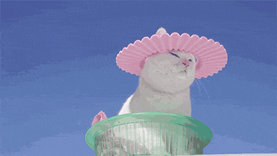 微信图片_20180930093227.gif