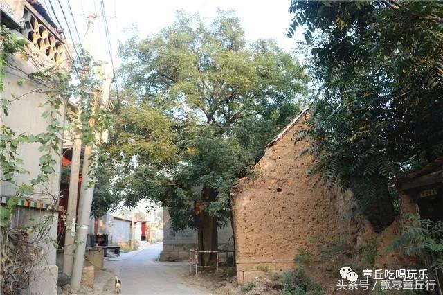 微信图片_20181008140520.jpg