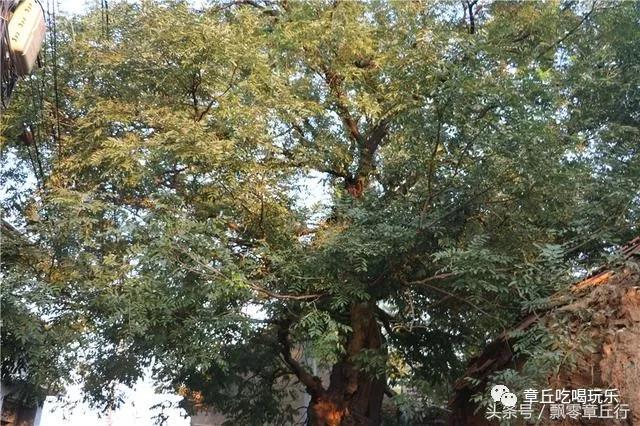微信图片_20181008140523.jpg