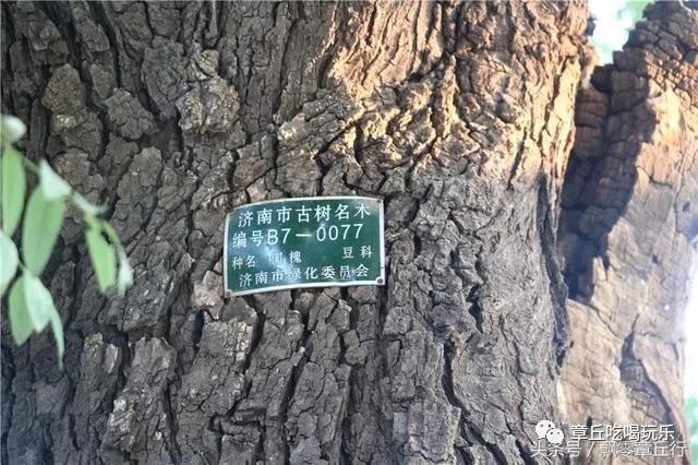 微信图片_20181008140538.jpg