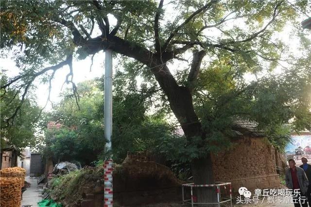 微信图片_20181008140531.jpg
