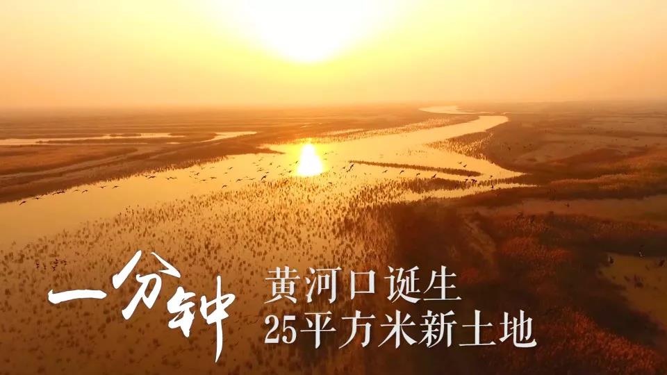 微信图片_20181008141408.jpg