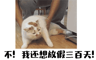 微信图片_20181008172542.gif