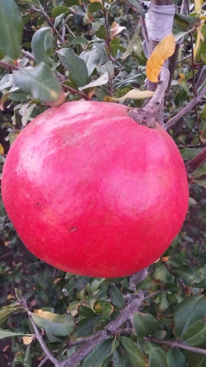 20181009_65495_1539036499395.jpg