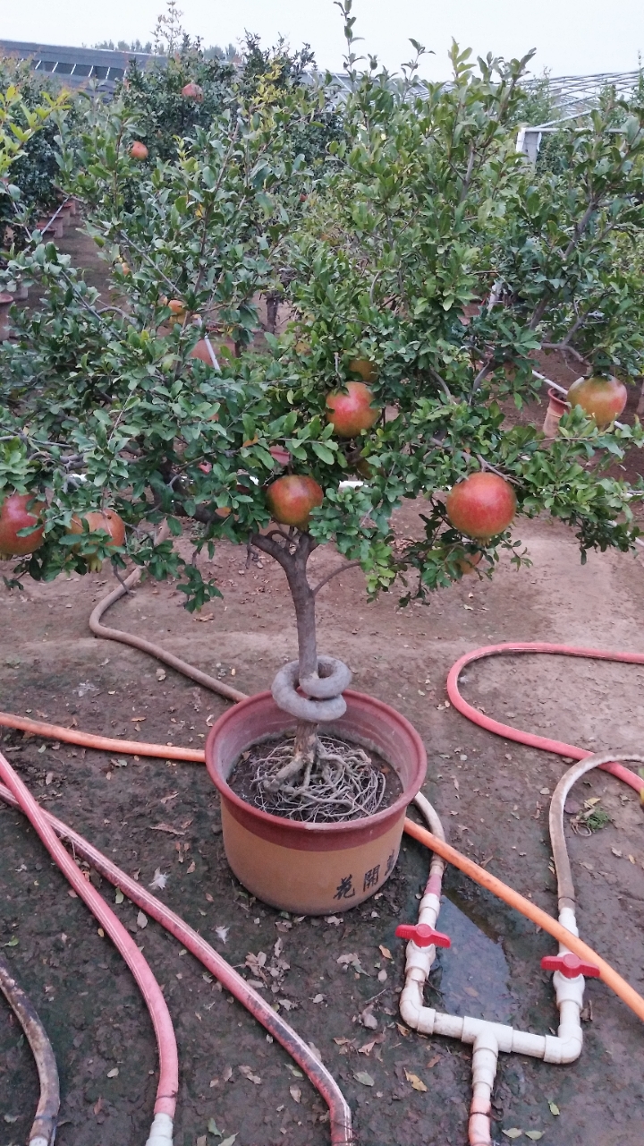 20181009_65495_1539036499737.jpg