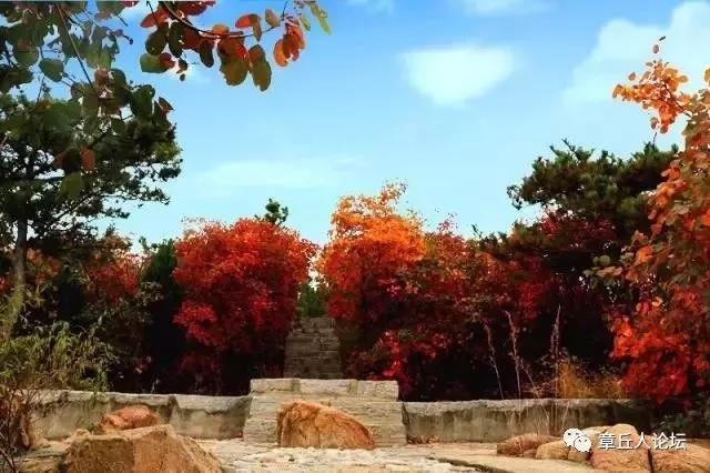 微信图片_20181009093738.jpg