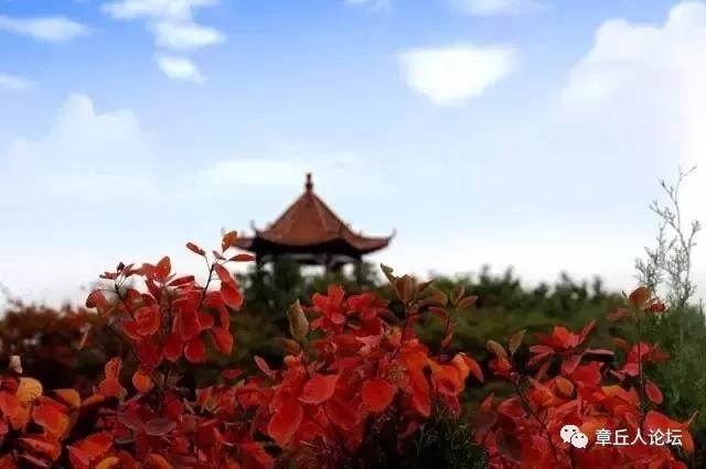 微信图片_20181009093731.jpg