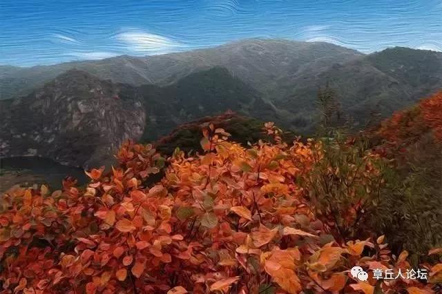 微信图片_20181009093752.jpg