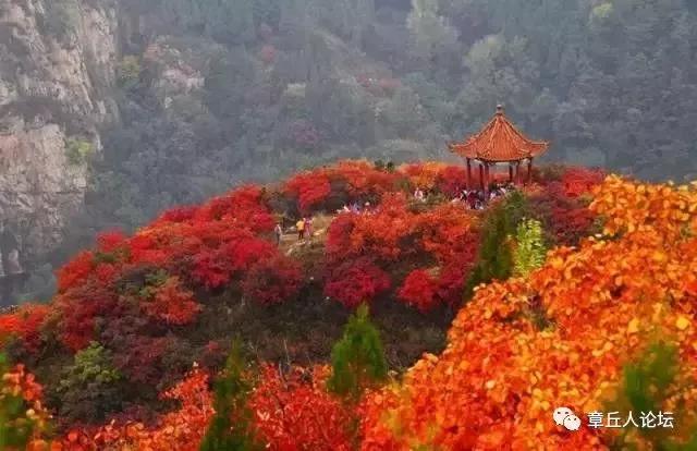 微信图片_20181009093756.jpg