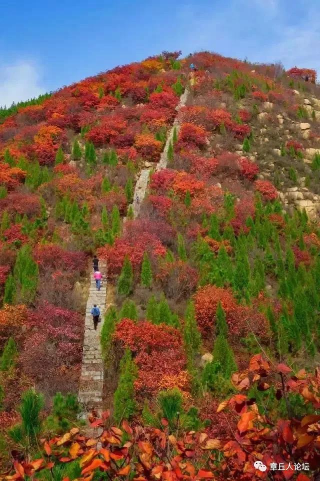 微信图片_20181009093802.jpg