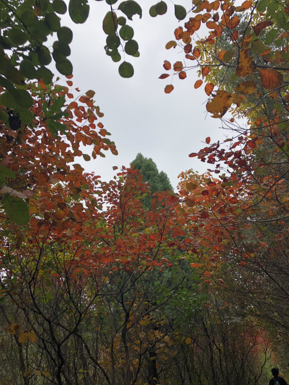 20181011798581539237890824643.jpg