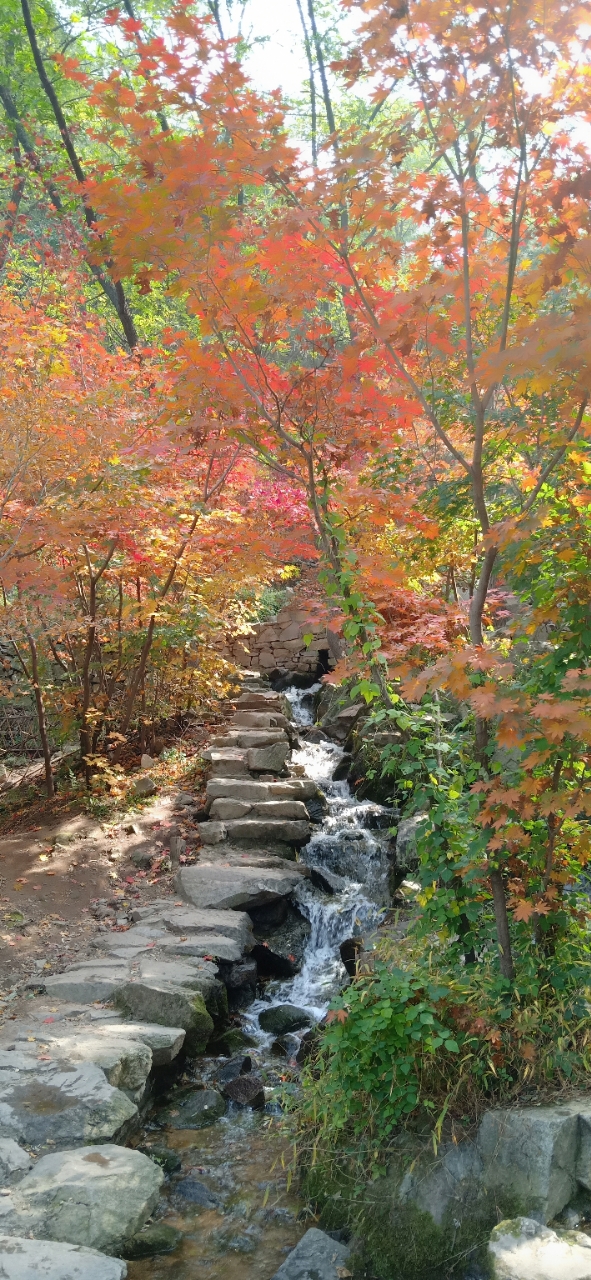 20181011_21893_1539242782520.jpg