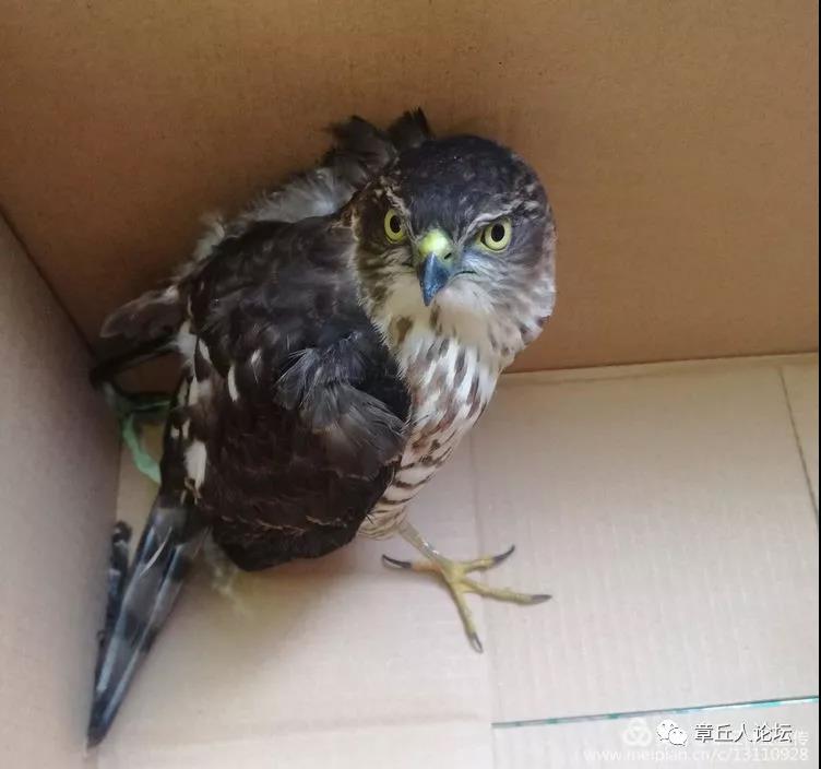 微信图片_20181018083409.jpg