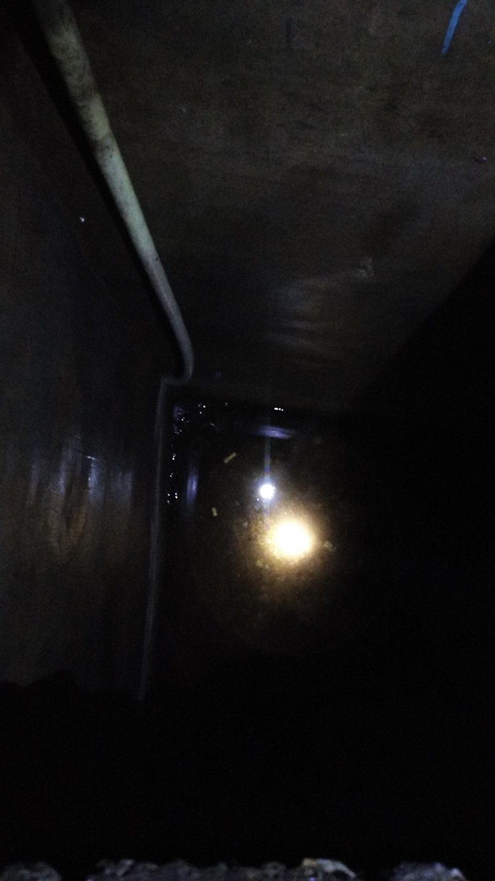20181022_66443_1540223872848.jpg