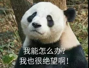 微信图片_20181025102034.jpg