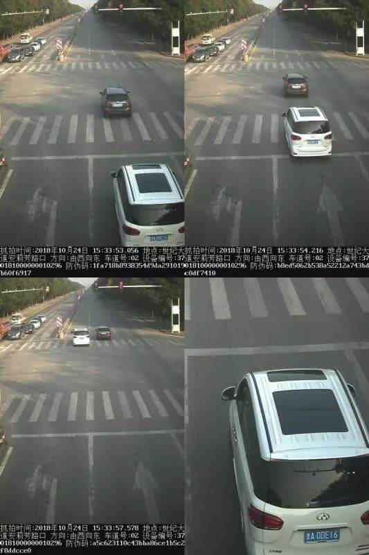 20.jpg