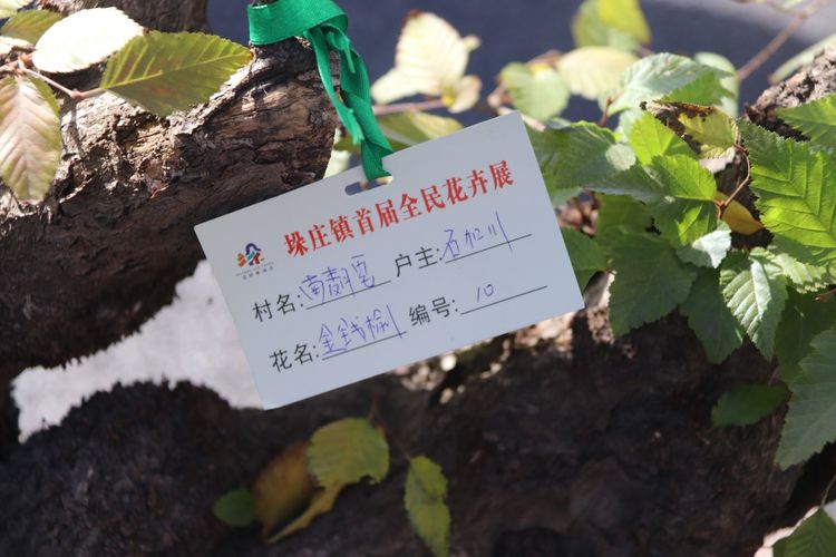 微信图片_20181027153914.jpg