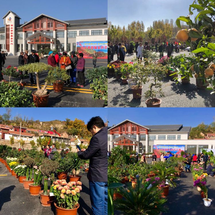 微信图片_20181027153924.jpg