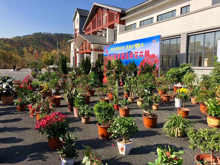 微信图片_20181027153906.jpg