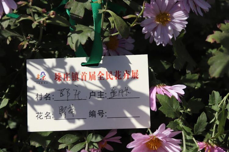 微信图片_20181027153921.jpg