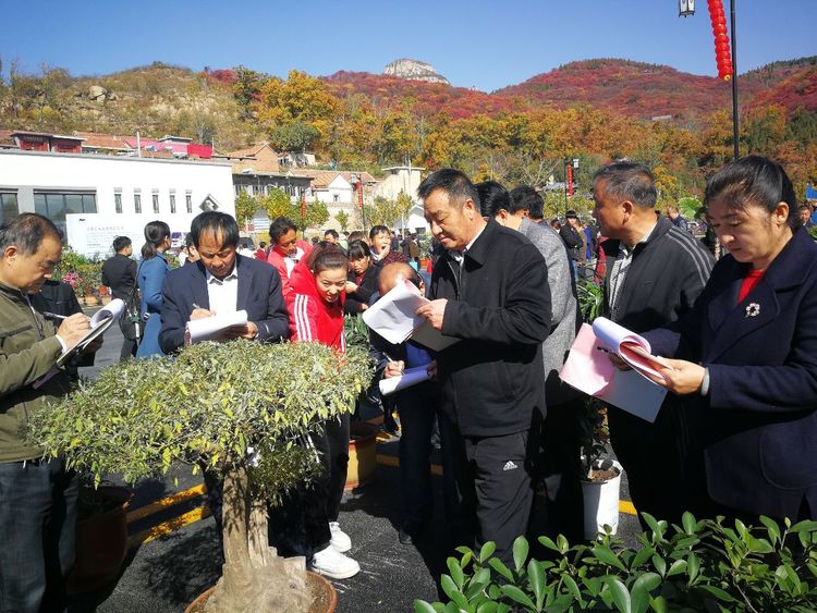 微信图片_20181027154023.jpg
