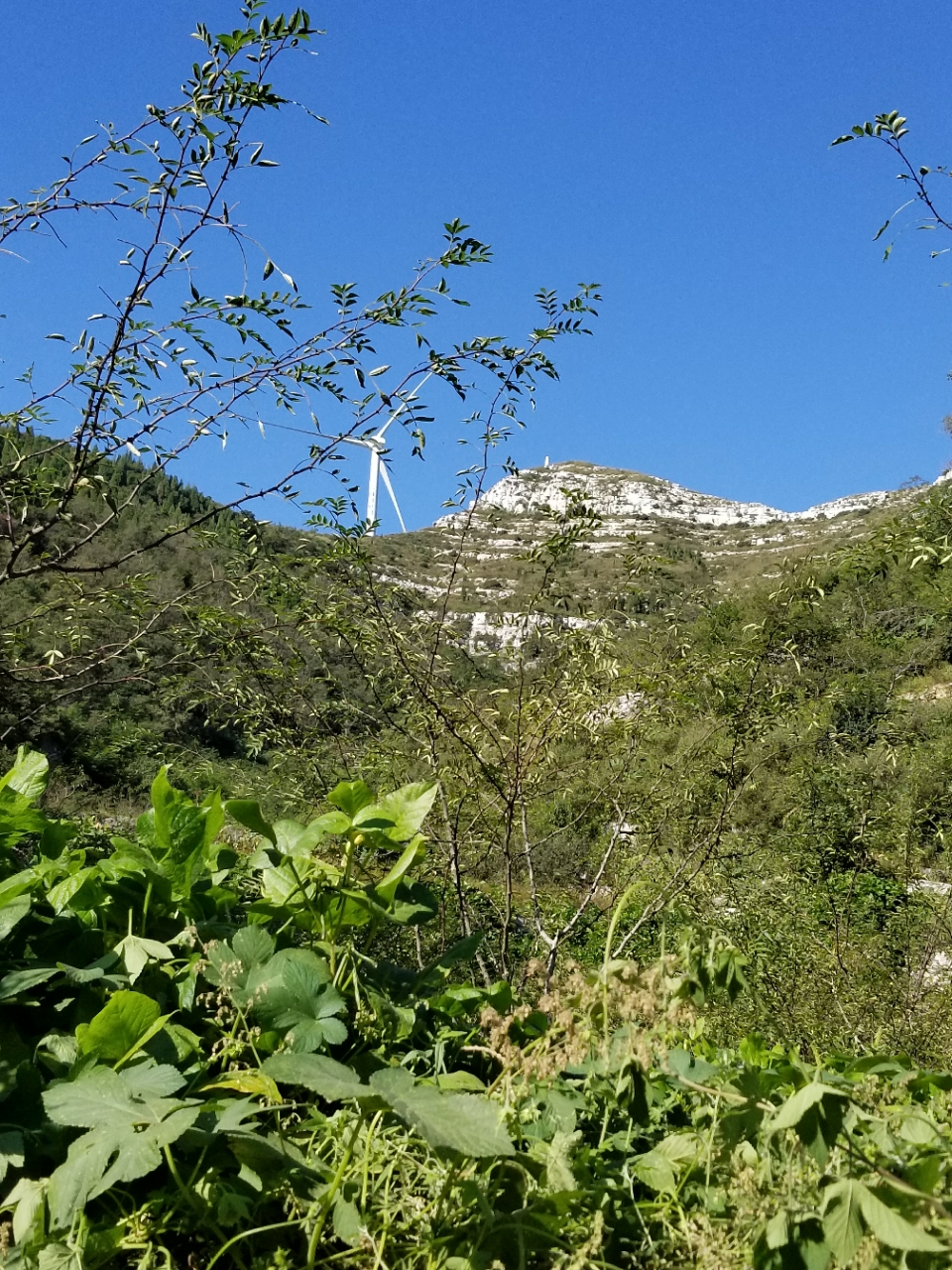 20181028_18378_1540663952569.jpg