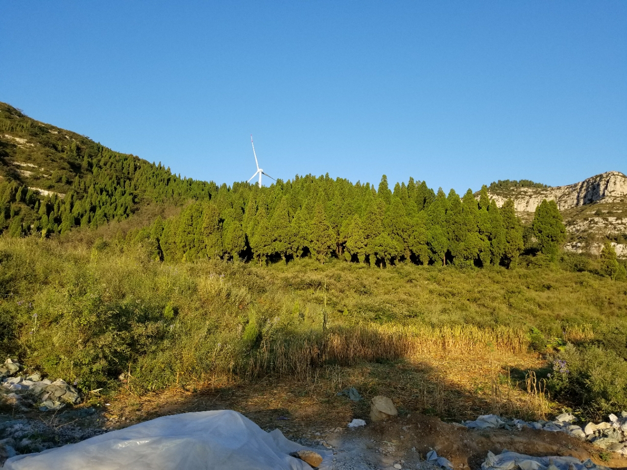 20181028_18378_1540663952886.jpg