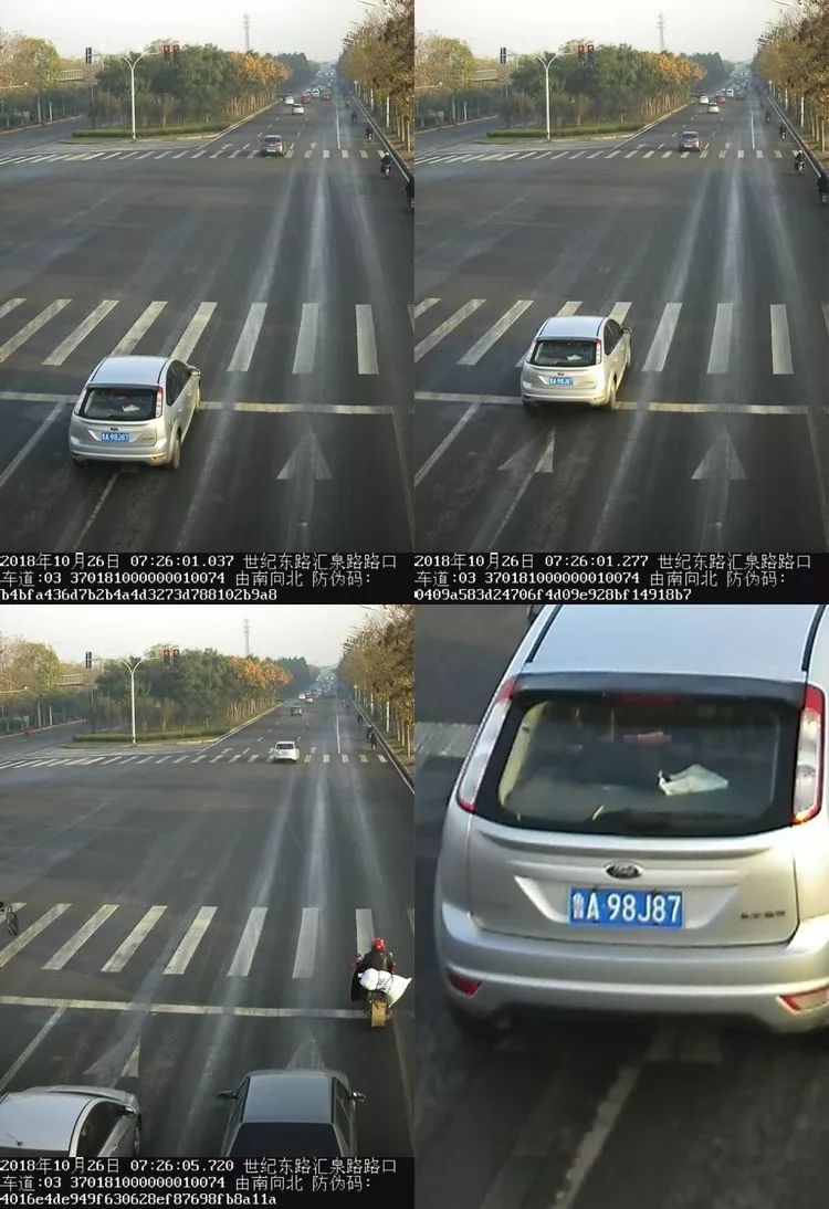 19.jpg
