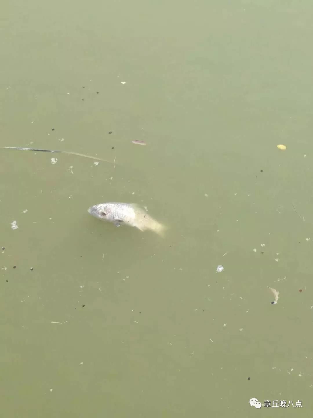 微信图片_20181029083646.jpg