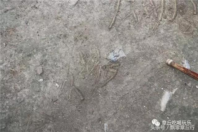 微信图片_20181102135541.jpg