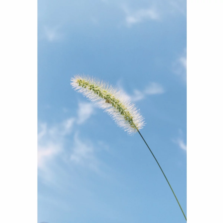 20181102_79803_1541148975274.png