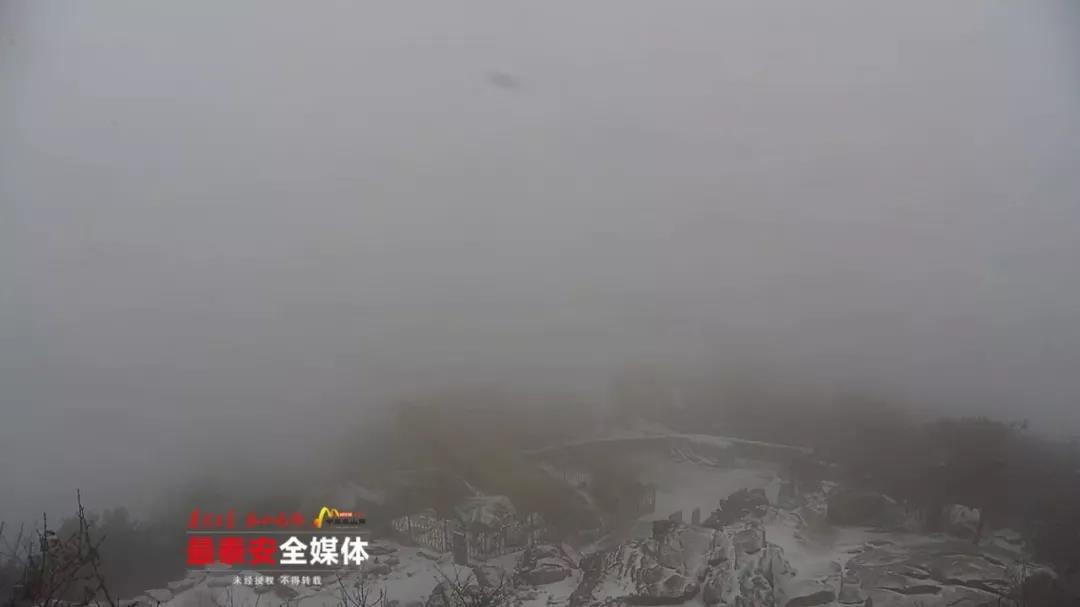 微信图片_20181106163707.jpg