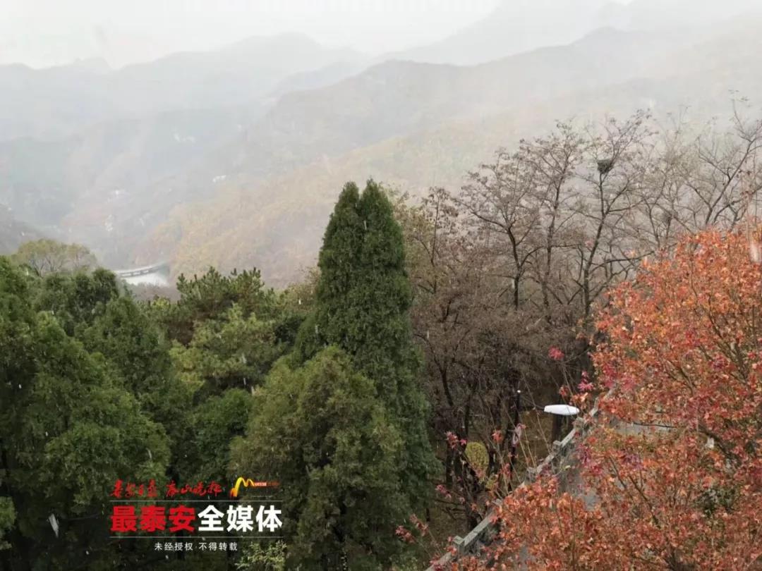 微信图片_20181106163714.jpg