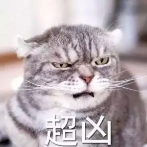 微信图片_20181106165230.jpg