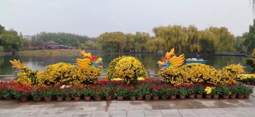 微信图片_20181109135133.jpg