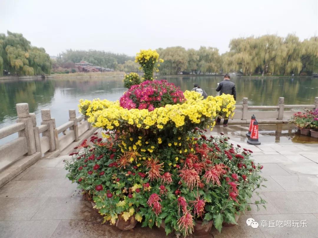 微信图片_20181109135141.jpg