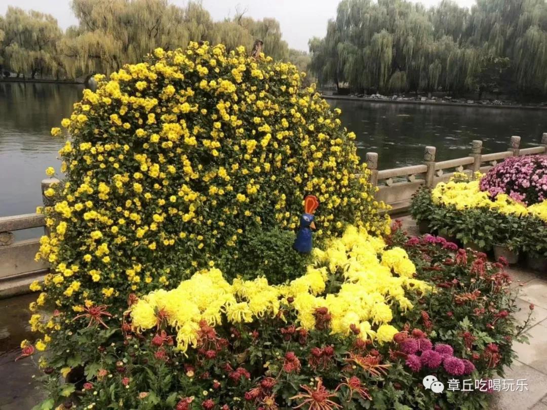 微信图片_20181109135143.jpg