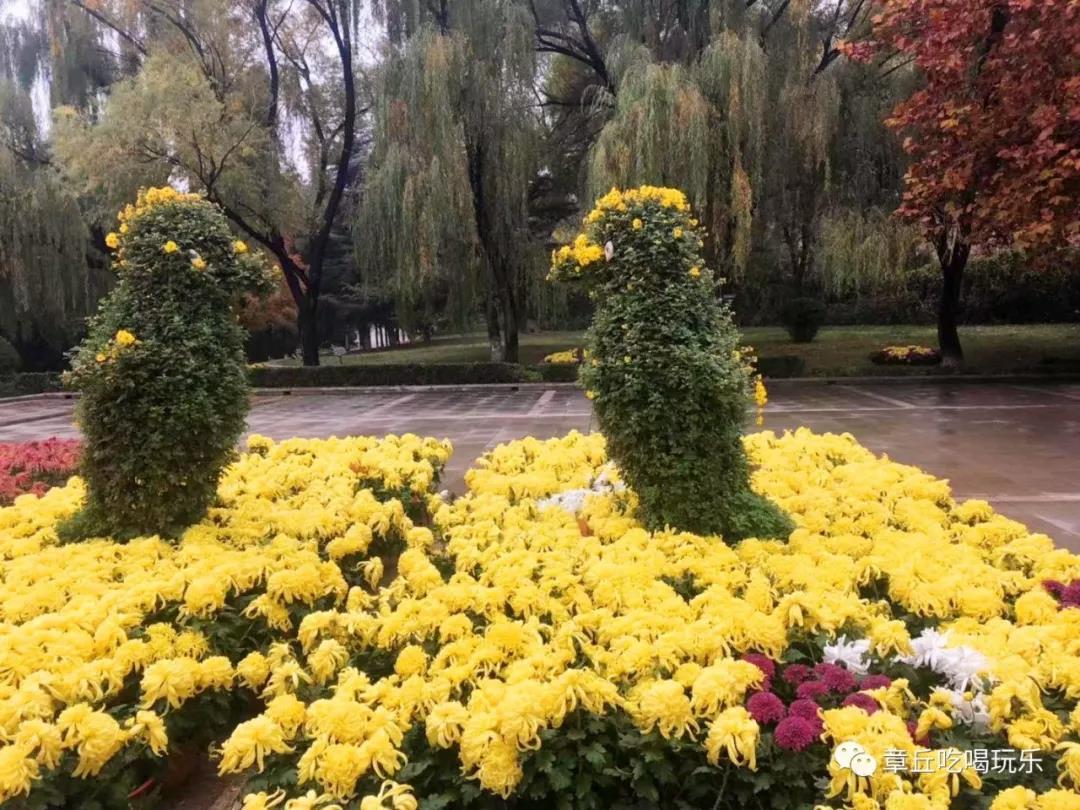 微信图片_20181109135149.jpg