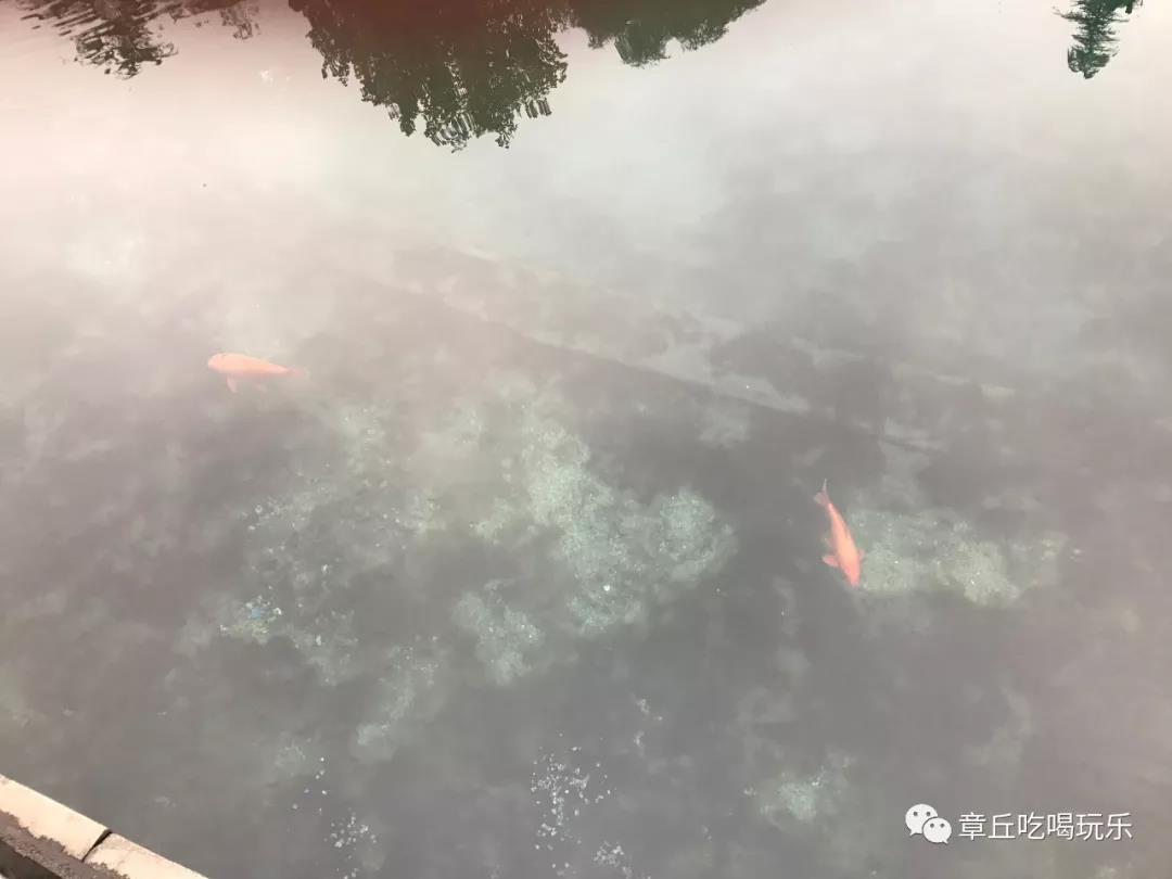 微信图片_20181109135210.jpg