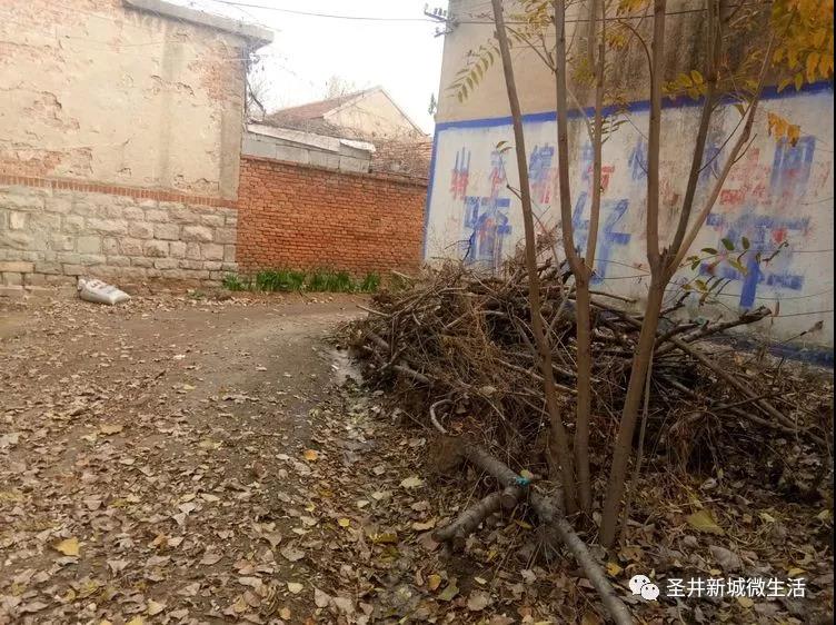 微信图片_20181116084118.jpg