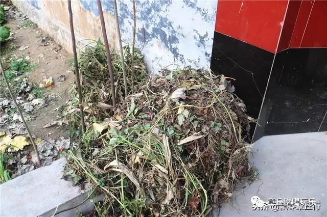 微信图片_20181117161848.jpg