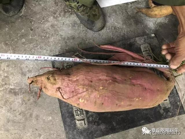 微信图片_20181117161855.jpg
