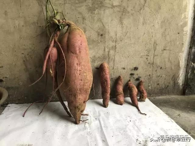 微信图片_20181117161853.jpg