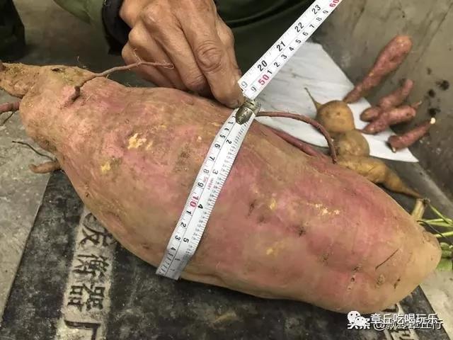 微信图片_20181117161857.jpg