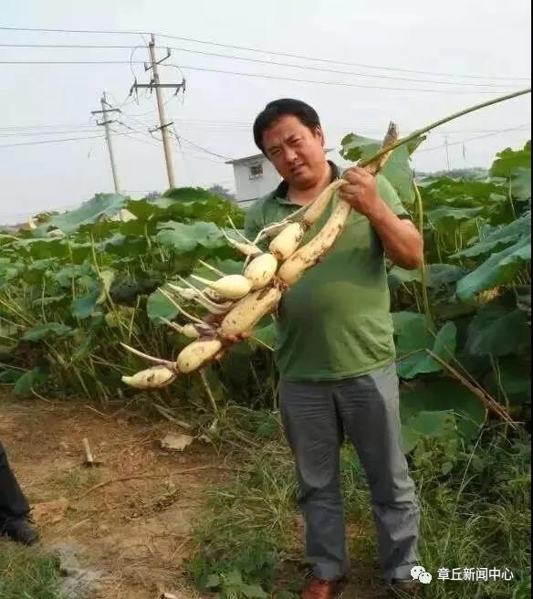 微信图片_20181120084841.jpg