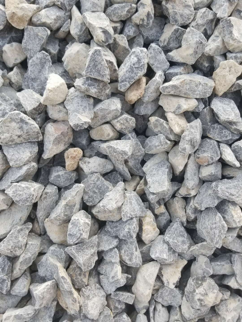 20181123_21787_1542946079670.jpg