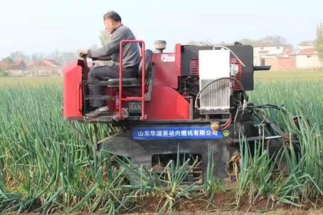 微信图片_20181127085445.jpg
