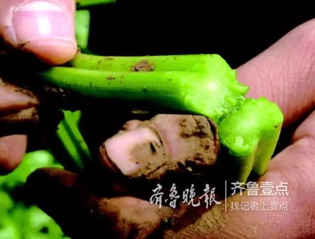 微信图片_20181128081140.jpg
