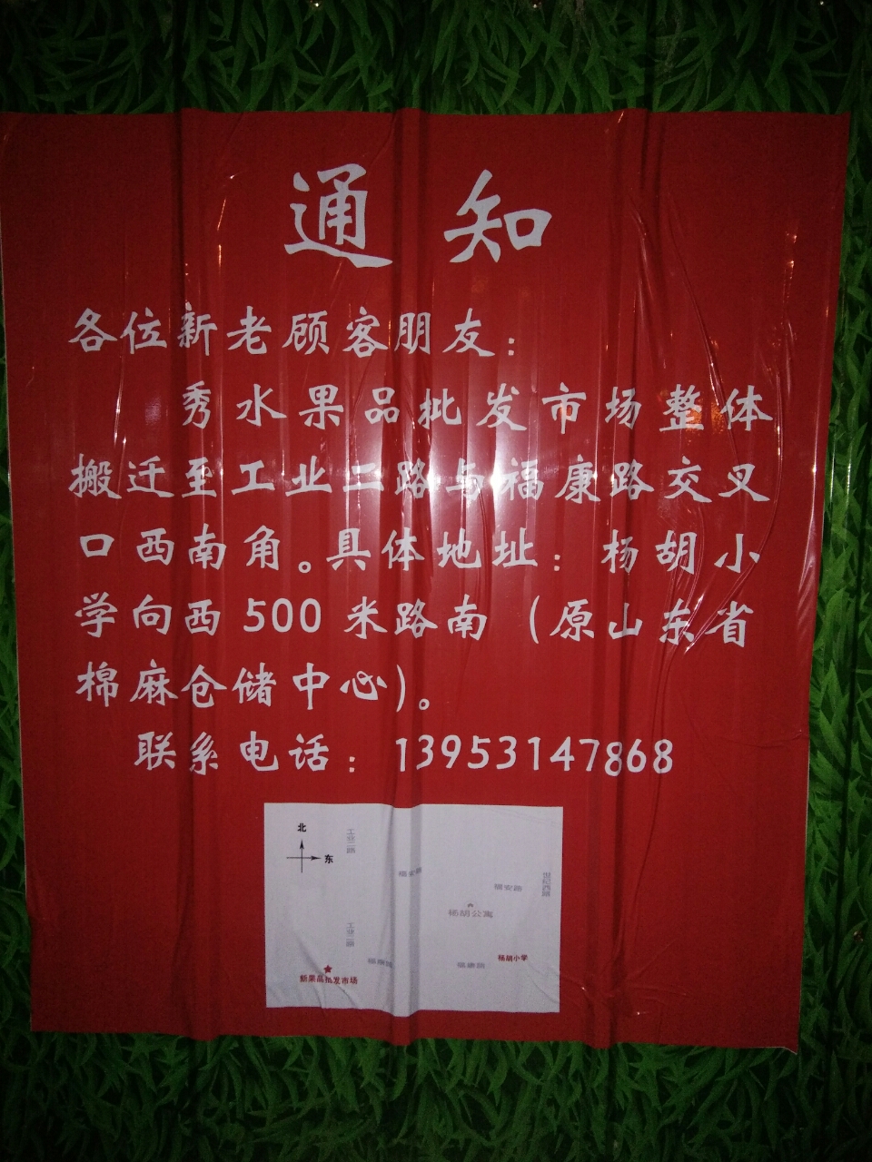 205642paji3qm8wwmnm3im.jpg