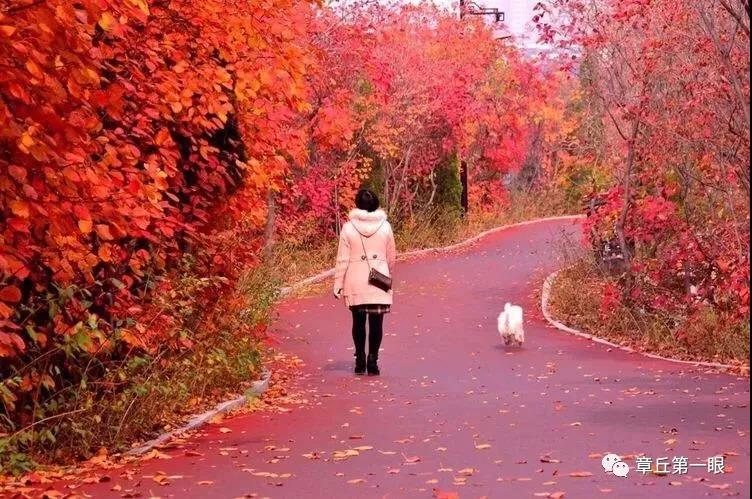 微信图片_20181206151602.jpg